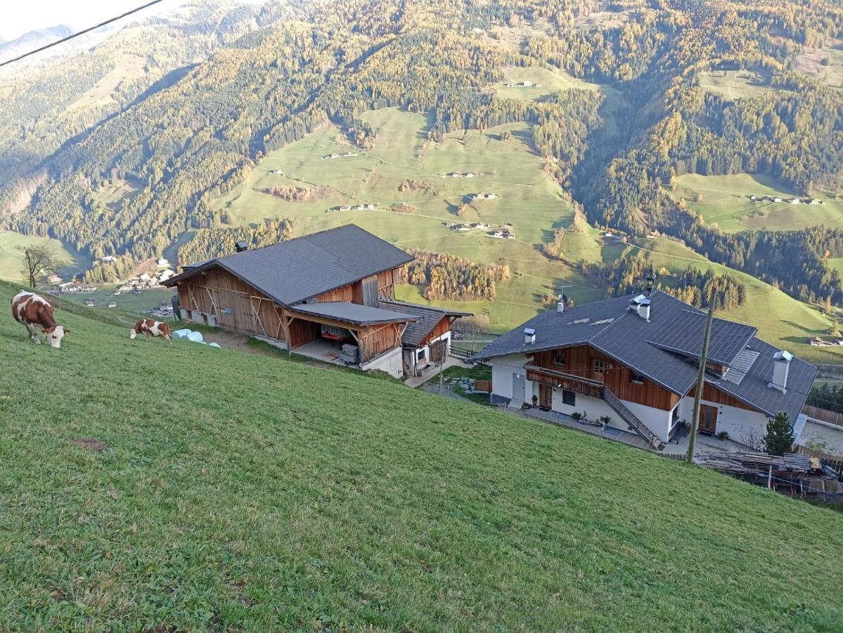 Ortnerhof Apartment Ahrntal Екстериор снимка