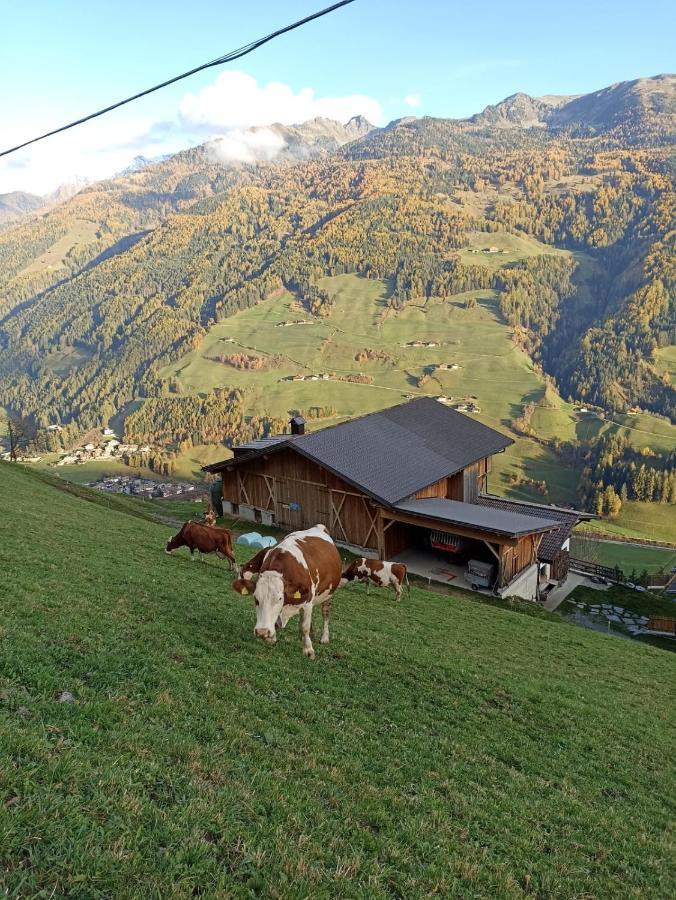 Ortnerhof Apartment Ahrntal Екстериор снимка