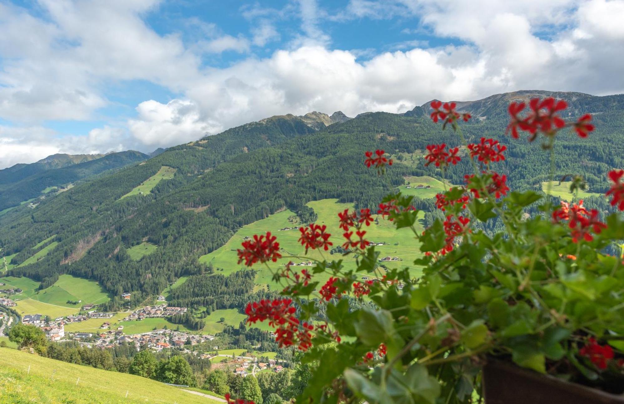 Ortnerhof Apartment Ahrntal Екстериор снимка